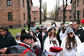 IMG_ (11725)